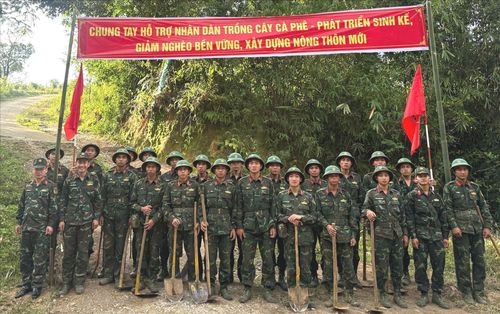  Các chiến sĩ thuộc Trung đoàn 990 đến xã Tu Mơ Rông, tỉnh Quảng Ngãi giúp người dân trồng cà phê đặc sản. Ảnh: THANH HƯƠNG 