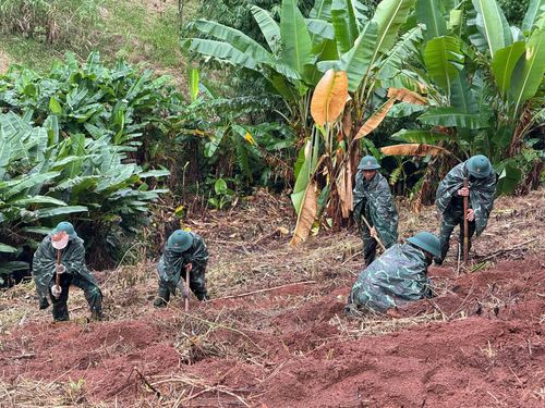  Các chiến sĩ Trung đoàn 990 giúp người dân trồng cà phê. Ảnh: THANH HƯƠNG 