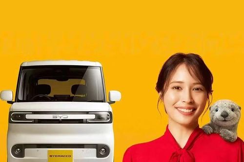 Hệ thống này cho phép các mẫu xe kei không phát thải từ các thương hiệu nội địa đủ điều kiện nhận mức trợ cấp tối đa là 580.000 yên (tương đương 93,4 triệu đồng), trong khi các mẫu xe nhập khẩu từ Trung Quốc như BYD chỉ có thể nhận được khoản trợ cấp cơ bản là 150.000 yên (tương đương 24,1 triệu đồng).