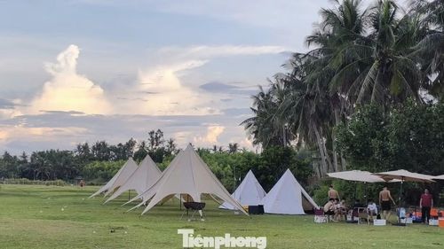 Khu vực Bãi Dừa ở phía đông bắc đầm là điểm được nhiều du khách tìm đến nhất. Hàng dừa mọc sát mép nước, đổ bóng xuống mặt đầm trong xanh.