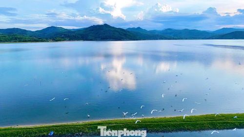 Đầm An Khê còn là nơi cư trú của nhiều loài chim nước như cò, còng cọc. Vào mùa nắng, chúng thường bay về kiếm ăn trên các bãi cỏ và ven mặt đầm, góp phần tạo nên hệ sinh thái đa dạng.