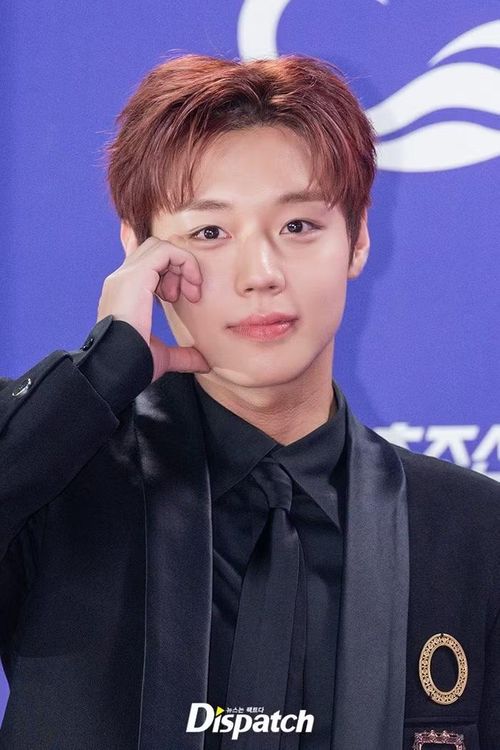 Park Ji Hoon luôn gây ấn tượng với vẻ ngoài "mỹ nam đẹp hơn hoa". Anh là một trong những thần tượng chuyển sang đóng phim thành công nhất. Trong lễ trao giải năm nay, anh cạnh tranh với Hyun Bin, Kim Woo Bin và các tiền bối khác tượng vàng nam chính xuất sắc, với bộ phim The Legend of Kitchen Soldier.
