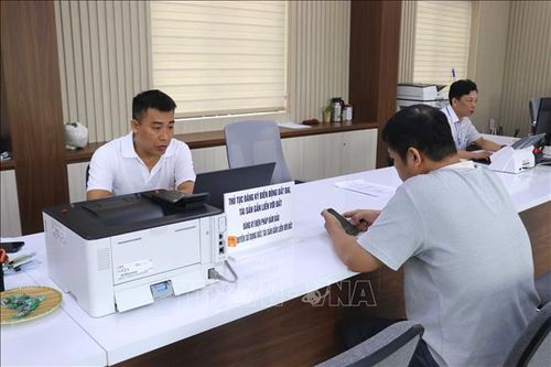 Cán bộ viên chức phường Lưu Kiếm tích cực số hóa, làm sạch dữ liệu đất đai. Ảnh: Hoàng Ngọc/TTXVN