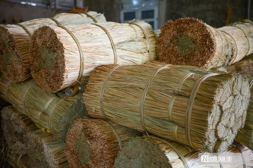 Sau khi thu hoạch, cói được phân loại ngay trên đồng. Loại dài trên 1,65 m được dùng để dệt chiếu cao cấp hoặc xuất khẩu; loại dài từ 1,5 đến 1,6 m phục vụ dệt chiếu phổ thông; phần cói già, khô được tận dụng làm chất đốt hoặc lợp mái.
