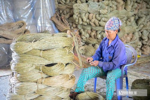 Không chỉ là cây trồng chủ lực, cói còn tạo sinh kế cho nhiều lao động nhàn rỗi thông qua các cơ sở gia công thủ công mỹ nghệ. Các sản phẩm từ cói gồm: giỏ đựng đồ, thảm, bình hoa, đồ trang trí... được đan hoàn toàn bằng tay.