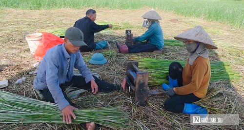 Tân Tiến được thành lập trên cơ sở sáp nhập 3 xã: Nga Thái, Nga Tiến và Nga Tân (huyện Nga Sơn cũ), hiện là địa phương có diện tích trồng cói lớn nhất Thanh Hóa với khoảng 730 ha. Người dân nơi đây vẫn quen gọi tháng 5 và tháng 10 âm lịch là "mùa vàng" bởi đây là hai vụ thu hoạch lớn nhất trong năm.