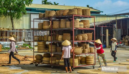 Những cây cói qua bàn tay khéo léo của thợ trở thành những sản phẩm thủ công mỹ nghệ như: chiếu, sọt, đĩa,... xuất khẩu đến nhiều nước trên thế giới, như: Mỹ, Australia, Canada, Anh, Pháp...