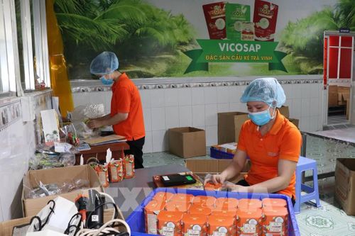 Công nhân Công ty TNHH Chế biến dừa sáp Cầu Kè (Vicosap), xã Tam Ngãi sản xuất các sản phẩm từ dừa sáp đạt chuẩn OCOP. Ảnh: Thanh Hòa - TTXVN