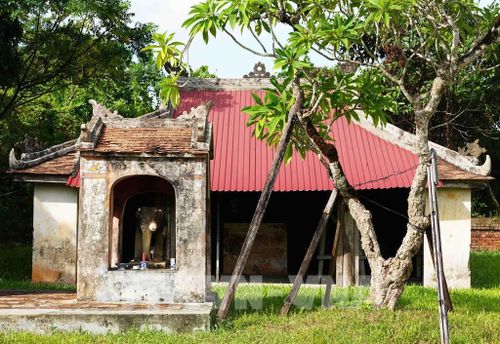 Miếu Tượng - nơi thờ tượng voi chế tác tinh xảo bằng đá trong Điện Voi Ré, thành phố Huế. Ảnh: Nguyên Lý - TTXVN