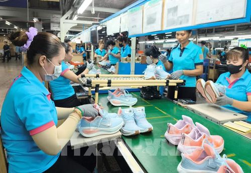 Hoạt động sản xuất tại Công ty TNHH Chang Shin Việt Nam (thành phố Đồng Nai). Ảnh: Công Phong - TTXVN 