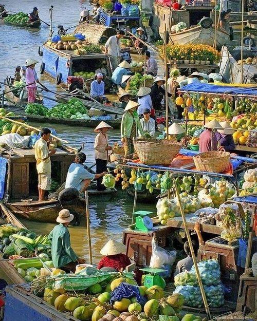 Cảnh đẹp tại chợ nổi Cái Răng. Ảnh: vietnamlocaladventures