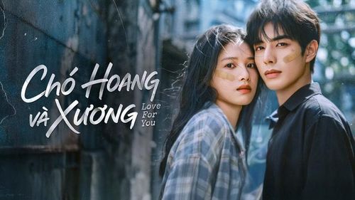 Được chuyển thể từ tiểu thuyết cùng tên của Hưu Đồ Thành, Chó Hoang Và Xương quy tụ Tống Uy Long và Trương Tịnh Nghi trong vai chính, gồm 32 tập do Lưu Tuấn Kiệt đạo diễn. Phim kể về Trần Dị và Miêu Tĩnh - hai đứa trẻ lớn lên trong những gia đình tan vỡ, nương tựa vào nhau dưới danh nghĩa anh em. Một biến cố xảy ra ở tuổi 18 khiến họ chia xa nhiều năm trước khi gặp lại trong hoàn cảnh hoàn toàn khác. Không chỉ phải đối diện với tình cảm bị kìm nén, cả hai còn cùng nhau đối đầu với một đường dây tội phạm nguy hiểm để bảo vệ đối phương. Sự kết hợp giữa yếu tố tình cảm, chữa lành và trinh thám đã tạo nên sức hút riêng cho tác phẩm.