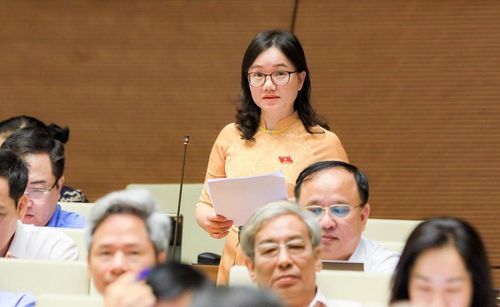 Đại biểu Thái Thị An Chung, Phó Trưởng đoàn chuyên trách Đoàn ĐBQH tỉnh Nghệ An