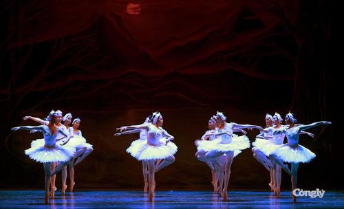 Một cảnh khác trong vở ballet "Hồ Thiên Nga".