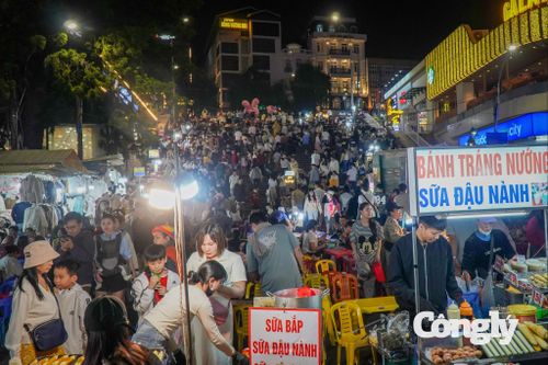 Lâm Đồng tăng cường quản lý người lang thang, xin ăn tại các điểm du lịch.