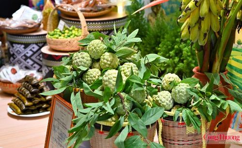 Điểm nhấn của chương trình là sự xuất hiện của hàng chục sản phẩm OCOP, nông sản và đặc sản tiêu biểu của tỉnh Lạng Sơn. 