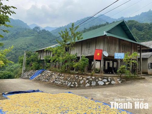 Nhịp sống bình dị trở lại tại bản Poọng, xã Tam Chung, nơi từng chịu nhiều tổn thất do ma túy.