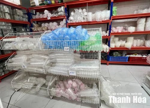 Hộp, cốc nhựa dùng một lần được bày bán với nhiều chủng loại, mẫu mã.