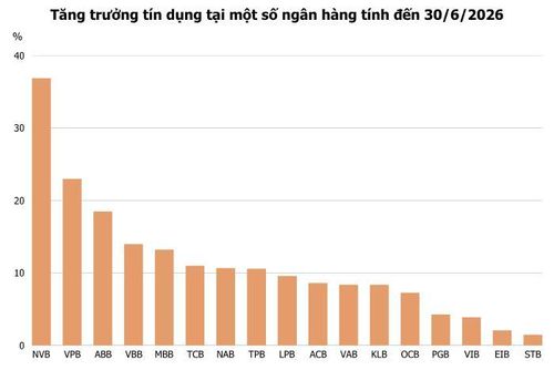  Ảnh: T.D tổng hợp từ BCTC 
