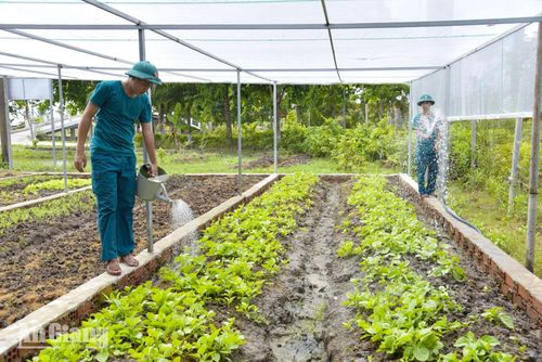 Chiến sĩ Ban Chỉ huy Quân sự xã Vân Khánh tưới nước cho vườn rau sau giờ huấn luyện.