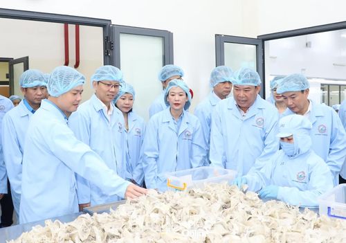 Đồng chí Nguyễn Thanh Hà thăm, nắm bắt tình hình sản xuất, kinh doanh, việc làm tại Công ty Cổ phần Nước giải khát Yến sào Khánh Hòa.