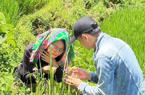 Du khách thích thú với ruộng bậc thang ở xã Mường Bo.