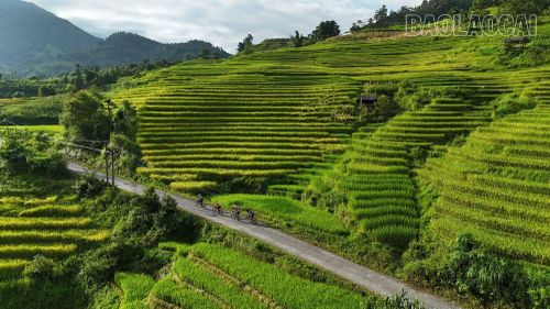 Xã Mường Bo đang dần khẳng định vị thế là điểm đến hấp dẫn đối với du khách trong và ngoài nước.