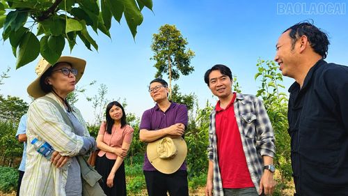 Anh Lý Seo Dũng, thôn Bản Phố có diện tích lê VH06 đang trò chuyện với các chuyên gia, cán bộ nghiên cứu ICRAF Việt Nam.