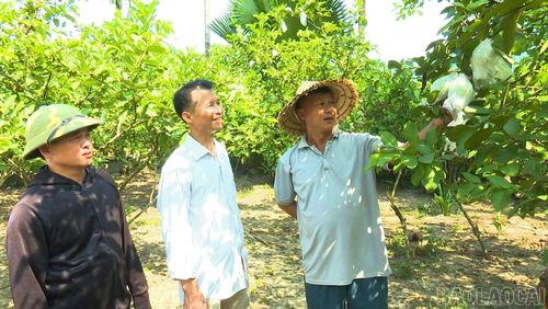Thăm hỏi, động viên bà con Nhân dân phát triển kinh tế.