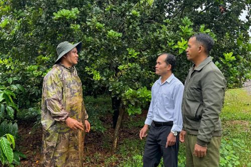 Anh Điểu Nhoach (bên phải) cùng cán bộ Hội Nông dân xã Quảng Trực xuống thăm, hướng dẫn người dân chăm sóc cây trồng, góp phần nâng cao hiệu quả sản xuất