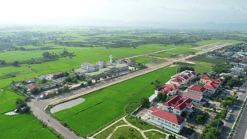 Cánh đồng lúa cạnh trung tâm xã Hàm Thuận