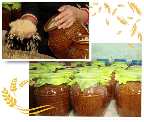 Những ché rượu cần sau khi đã hoàn thành các công đoạn, được đồng bào mang đi ủ ở một nơi thoáng mát