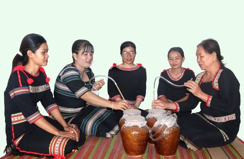 Đều đặn mỗi tháng, các học viên tập trung tại nhà bà Đào Thị Tuyn ở xã Phan Sơn để học cách chọn gạo, làm men, pha men, vệ sinh ché, ủ rượu...