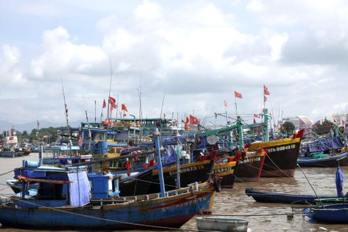Khu vực cảng Phan Thiết và vùng nước phía trong hiện có khoảng 1.000 tàu cá neo đậu