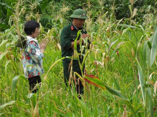 Vợ chồng chị Nguyễn Thị Lệ ở bản Eo Bù-Chút Mút, xã Kim Ngân - Ảnh: P.T.L