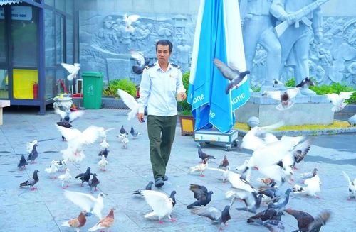Anh Nguyễn Văn Phú chăm sóc đàn bồ câu - Ảnh: Q.H