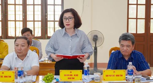 Đại diện lãnh đạo Ban Văn hóa-Xã hội, HĐND tỉnh phát biểu tại buổi làm việc - Ảnh: N.H