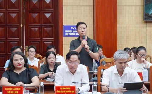 Đại biểu phát biểu ý kiến tại hội thảo - Ảnh: N.L