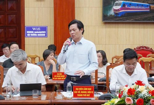 Đại biểu phát biểu ý kiến tại hội thảo - Ảnh: N.L