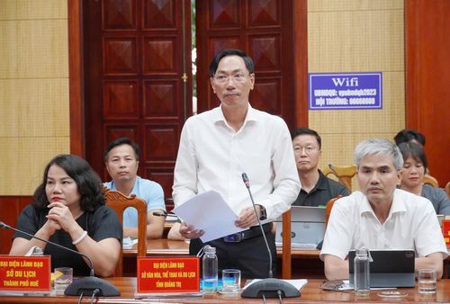 Đại biểu phát biểu tại hội thảo - Ảnh: N.L
