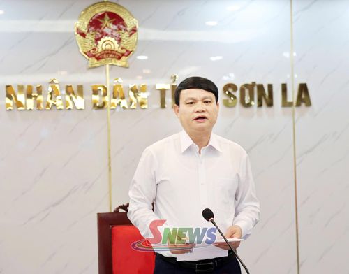 Đồng chí Đặng Ngọc Hậu, Phó Chủ tịch UBND tỉnh, Trưởng Ban Chỉ đạo công tác biên giới tỉnh phát biểu chỉ đạo tại hội nghị.
