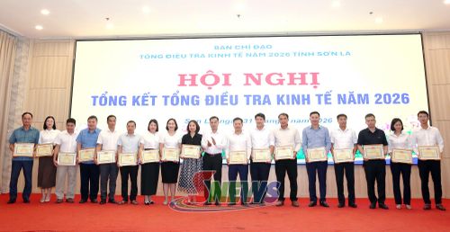 Lãnh đạo Thống kê tỉnh trao giấy khen cho các tập thể.