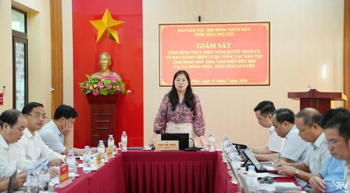 Đoàn giám sát làm việc tại xã Đồng Phúc.
