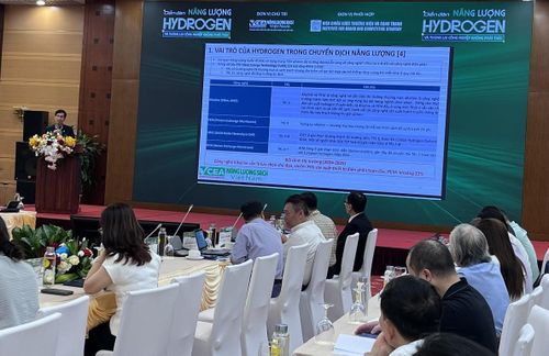 PGS. TS. Phạm Hoàng Lương, Giảng viên cao cấp Đại học Bách Khoa Hà Nội, Phó Chủ tịch Hiệp hội năng lượng sạch Việt Nam. Ảnh: VCED