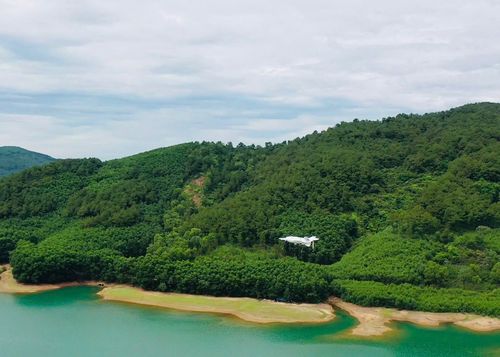 UAV giám sát rừng (ảnh minh họa).