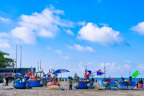 Những chiếc thuyền thúng nằm san sát trên bãi biển sau khi trở về. Ảnh: Lâm Nguyễn