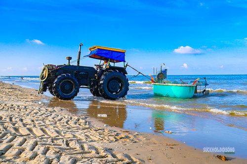 Kéo thuyền thúng lên bờ giữa những đợt sóng liên tiếp. Ảnh: Lâm Nguyễn