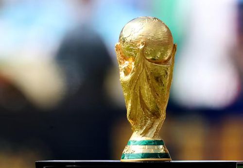 Cup giải Vô địch thế giới (World Cup). Nguồn: Reuters.