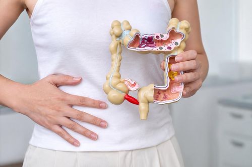 Đường ruột khỏe mạnh không chỉ giúp tiêu hóa tốt mà còn tăng cường miễn dịch. Ảnh: Shutterstock.