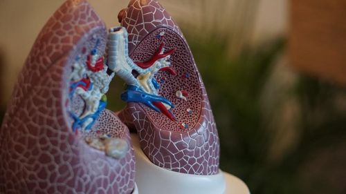 Bệnh nấm phổi vẫn âm thầm phát triển trong cộng đồng, ảnh hưởng tới sức khỏe người bệnh. Ảnh: robina_weermeijer.